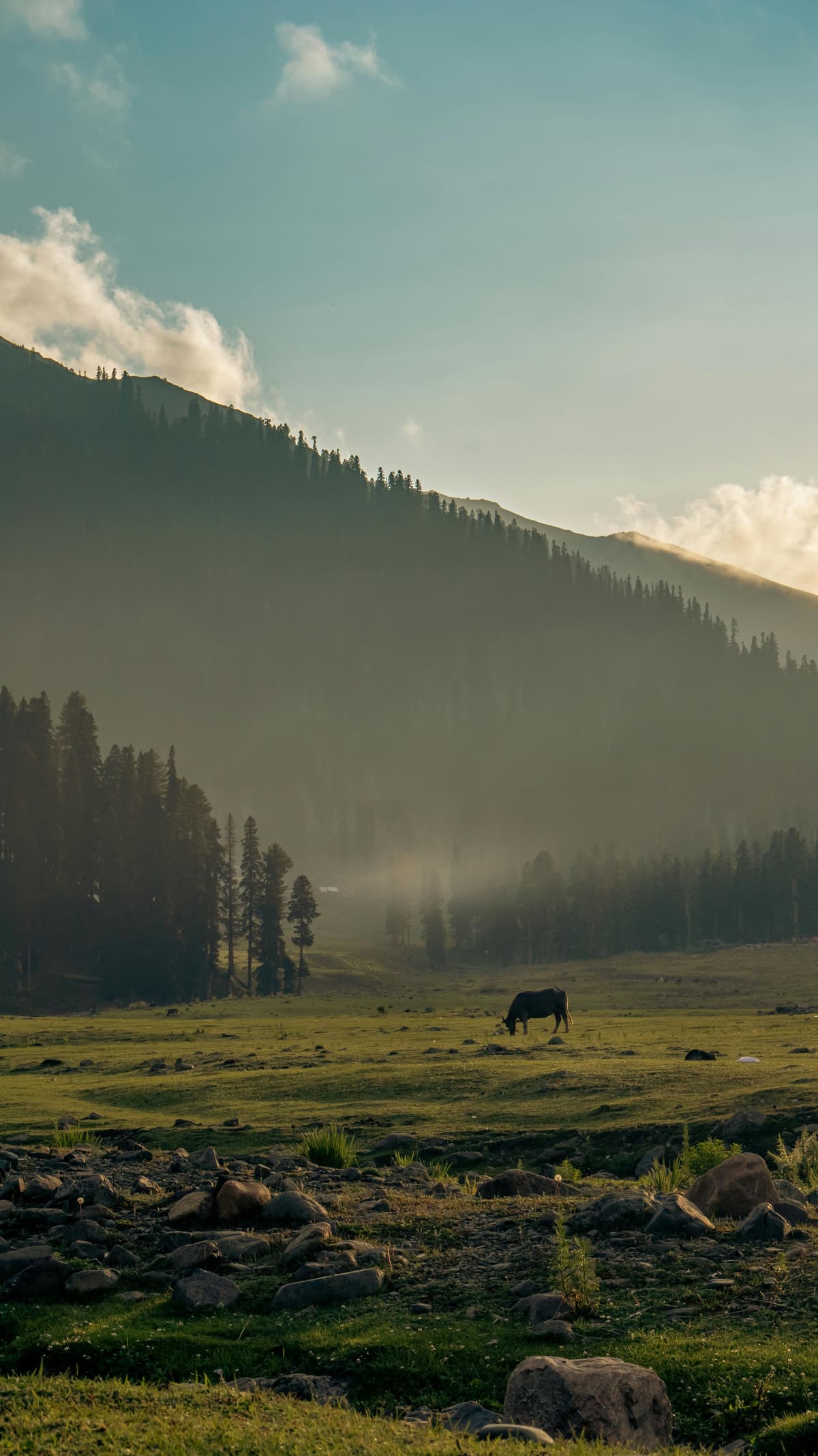 gulmarg