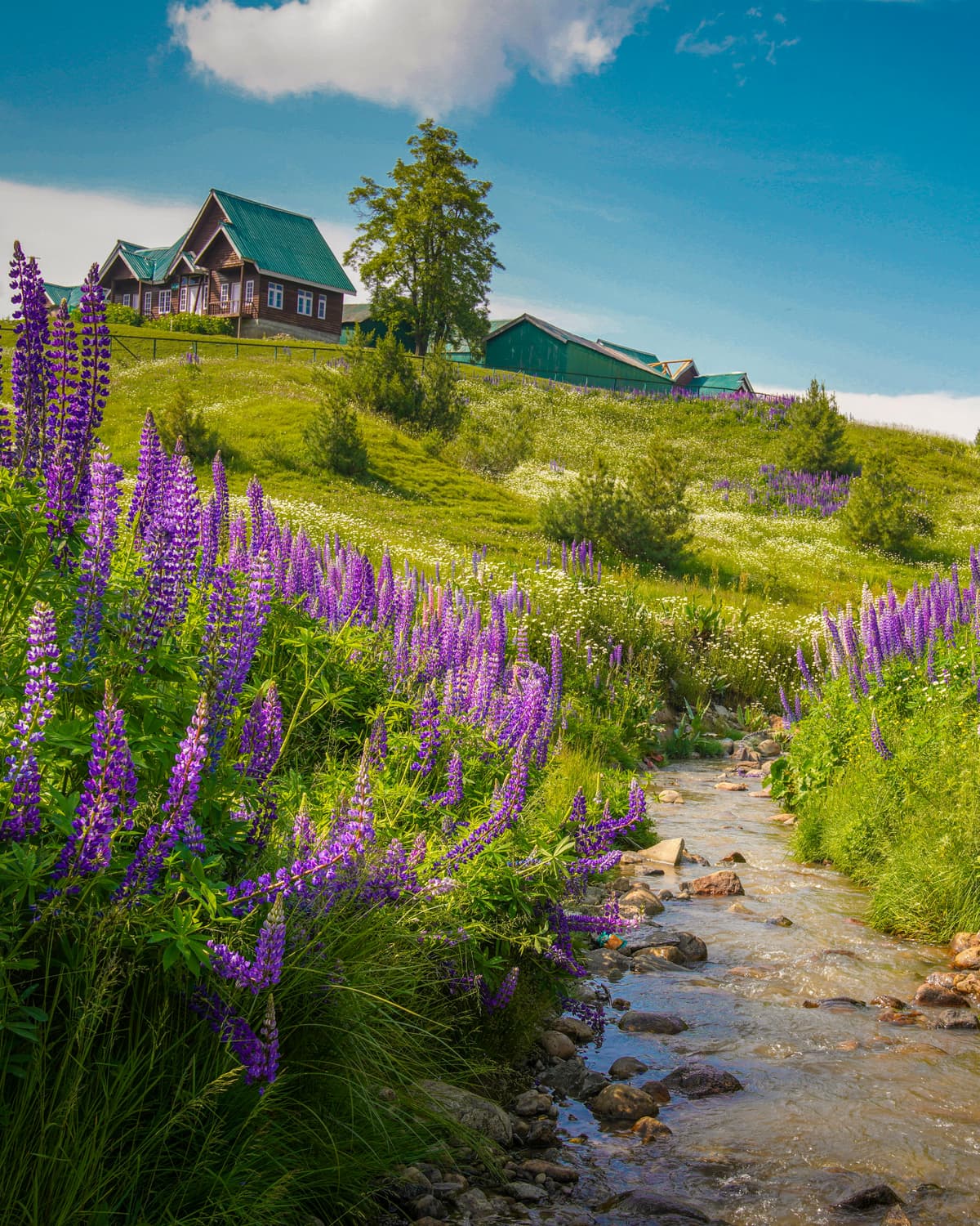 gulmarg